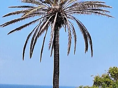 Rhodos 2024 Bild 1